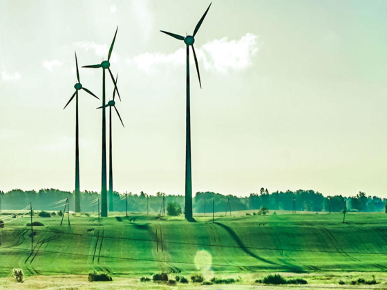 Earth Link And Advanced Resources Development S.a.l Elard