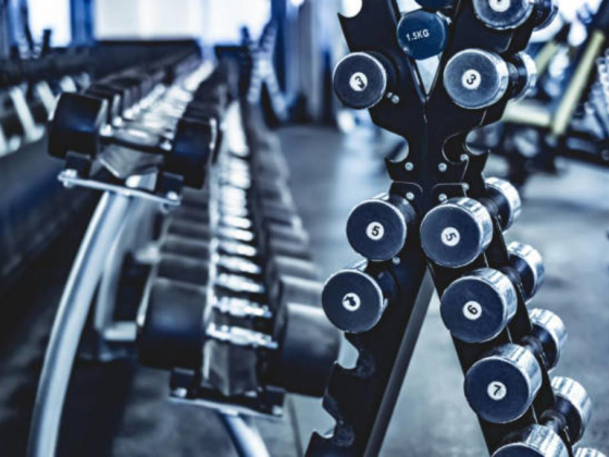 Champs Sports And Fitness Club L.l.c