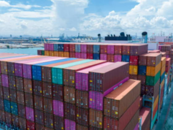 Guardianship Logistics
