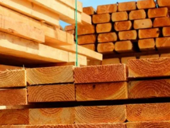 Wood Zone Timber Trading