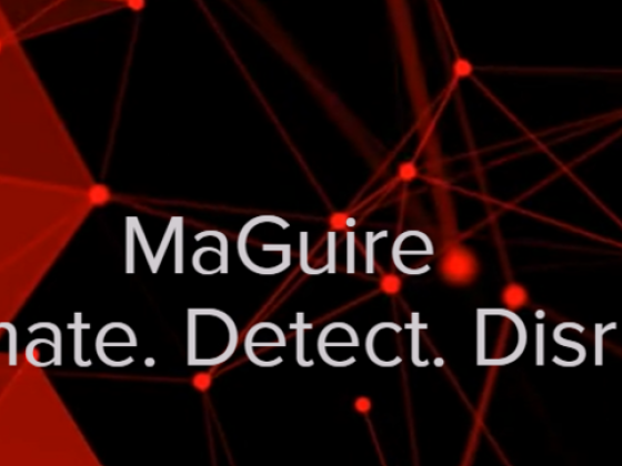 Maguire Software Trading