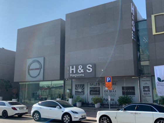 H & S Haqsons