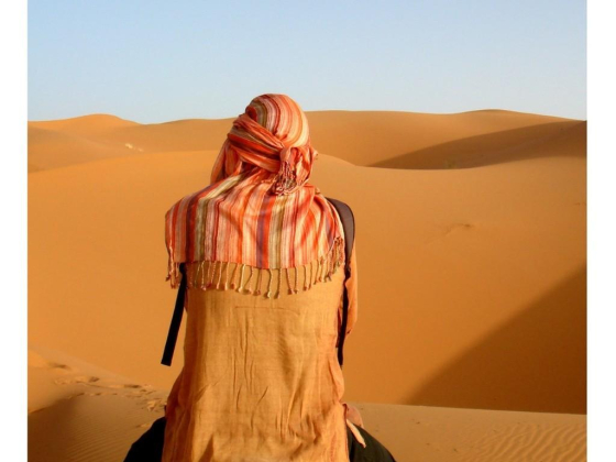 Travel Saga Tourism