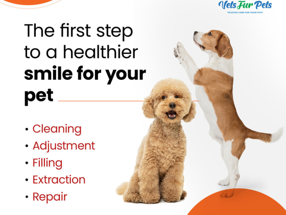 Vets Fur Pets Veterinary Clinic