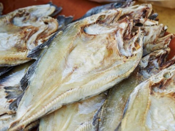 Akila Shrinth Fish Trading