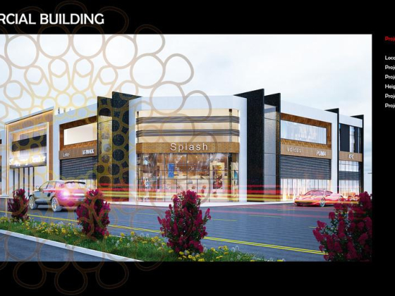 Castle Architectural Consultants