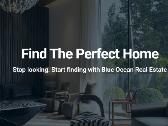 Blue Ocean Real Estate