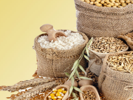 Golden Rise Processing & Packaging