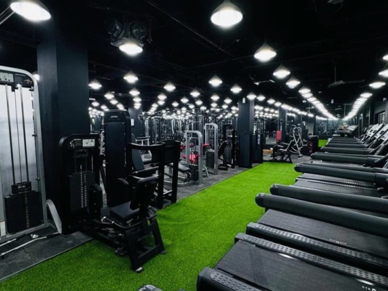Body Master Gym