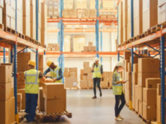 Storage Solution Cargo Packaging