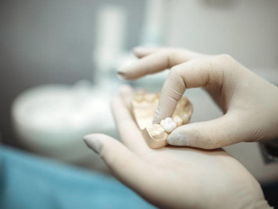 Dr. Joy Dental Clinic