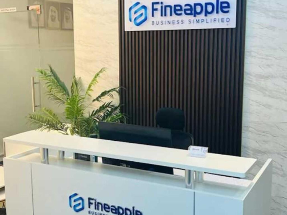 Fineapple Business Setup