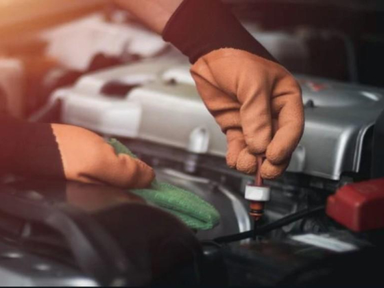 Exotics Cars Automotives Garage
