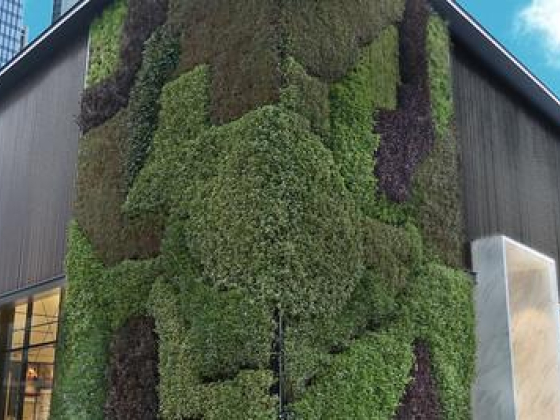 Gover Greenhouse Landscape Gardening