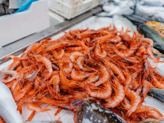 Gourmet Seafood Solutions Trading