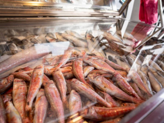 Gourmet Seafood Solutions Trading