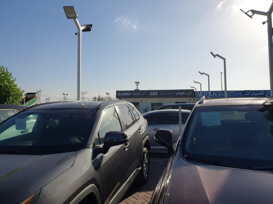 Bloom Cars