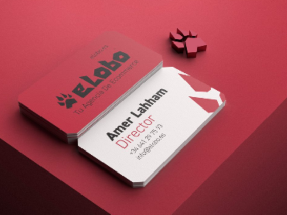 Ahmad Ajlouny