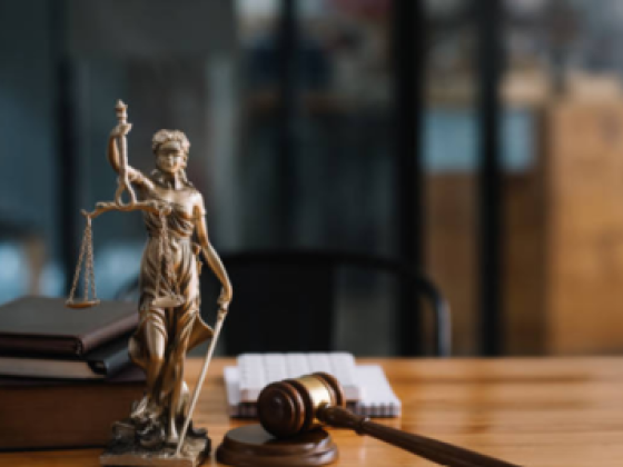 Mohamed Abdulsadek Debt Collection Services