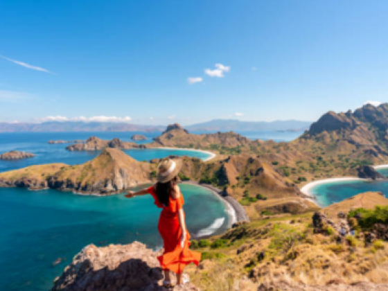 Moon Star Travel & Tourism