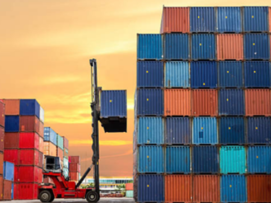 Ocean Mind Shipping