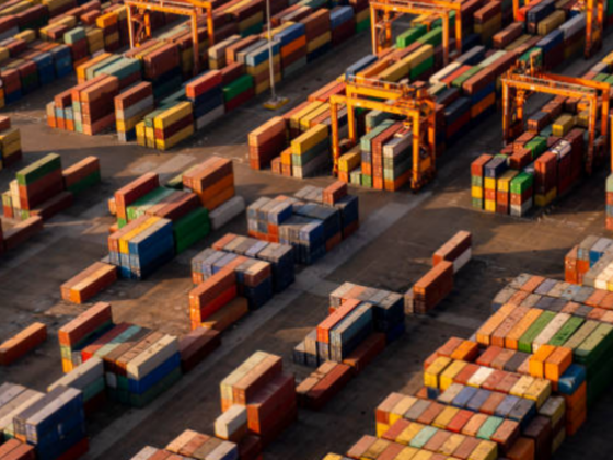 Ocean Mind Shipping