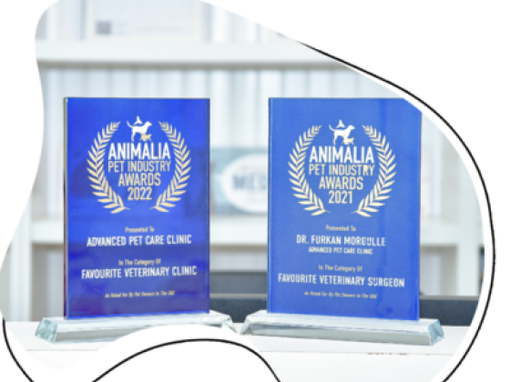Advanced Veterinary Clinic