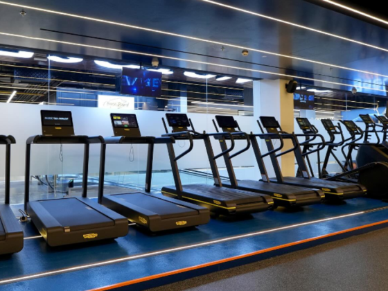 Gaelan Fitness