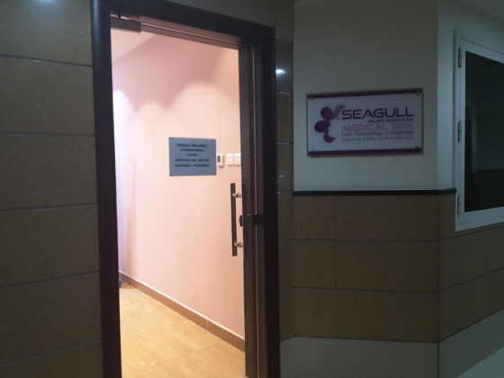 Seagull Medical Center L.l.c