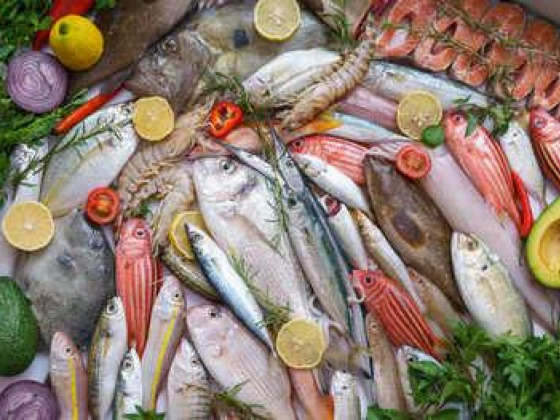 Khamis Saeed Salem Fish Stall