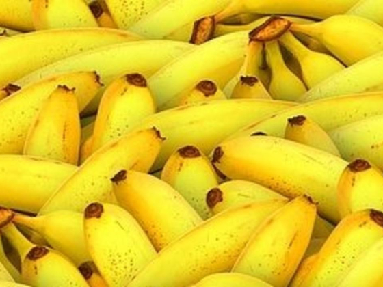 Jacob & Shamim Fruits & Vegetables Trading