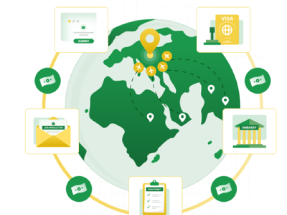 Visa Experts