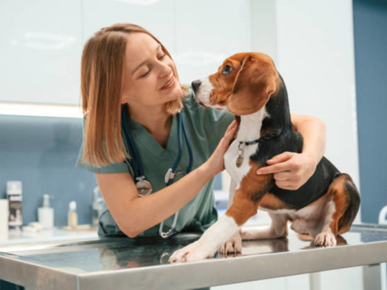 Umm Suqeim Veterinary Center