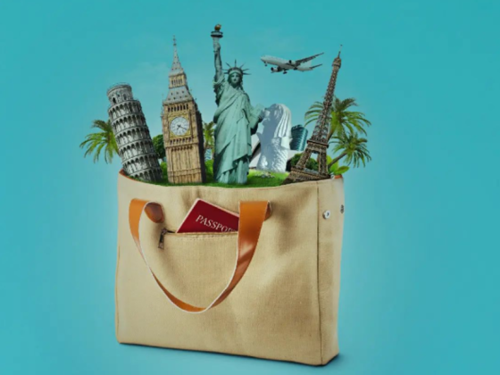 Falcon City Travels
