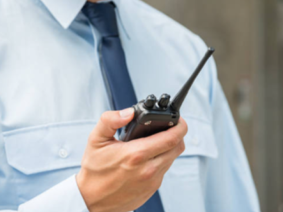 Delmon Cleaning And Security Services
