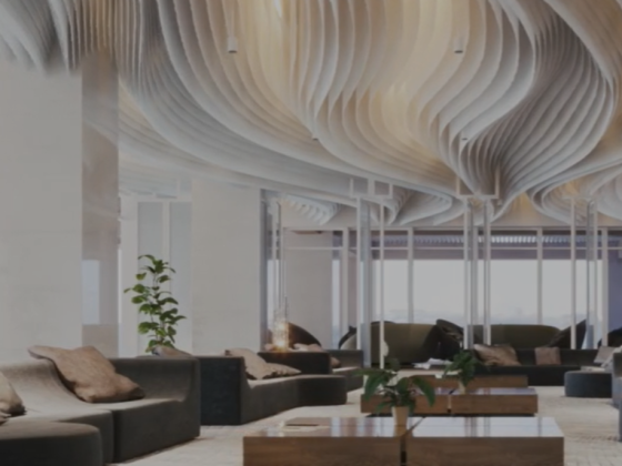 We Shape Spaces Building Contracting