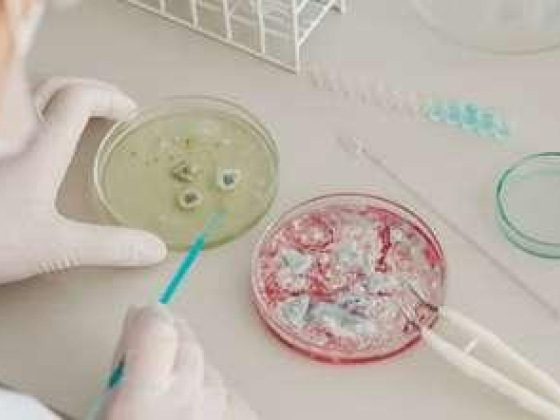 Quality Control Laboratory & Research For Medical Products
