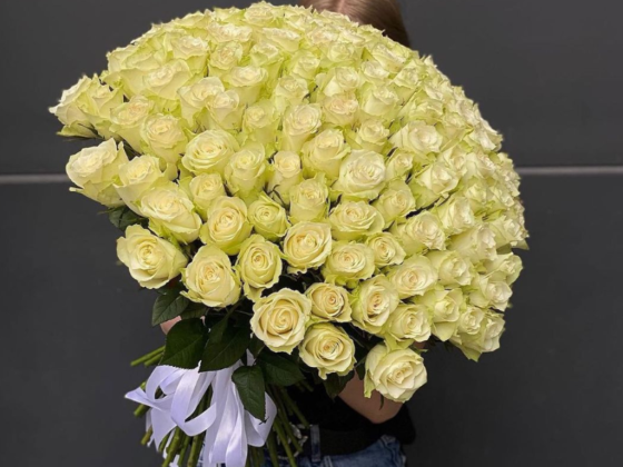My Roses