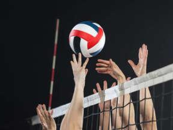 Volley Ball Court