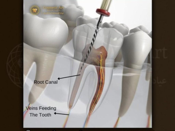 Cosmetic Art Dental Clinic