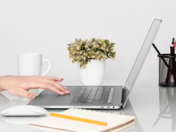 Dawn Typing Services