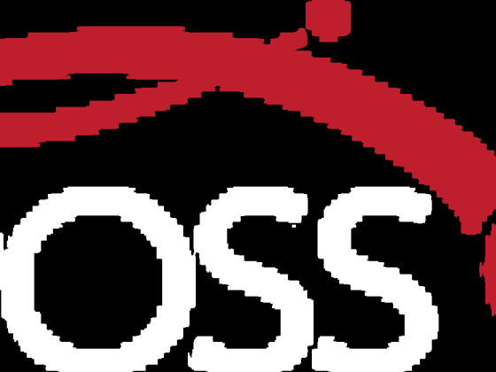 Networking Professionals