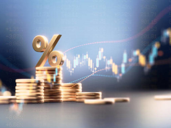 Al Sadoon Investment
