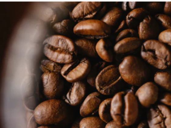 Flava Coffee