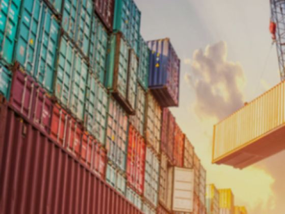 Swiss World Logistics