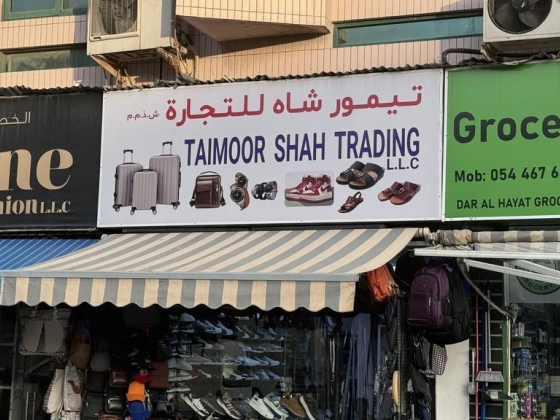 Taimoor Shah Trading