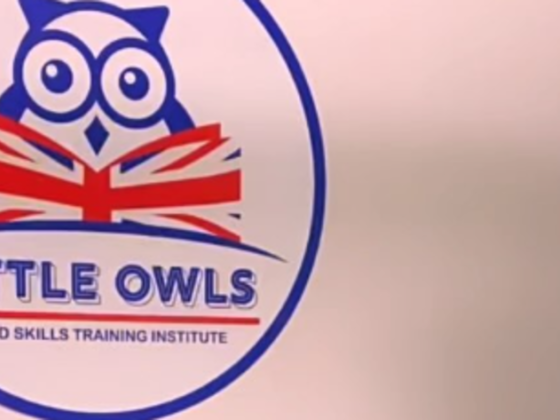 Little Owls Child Skills Training Institute