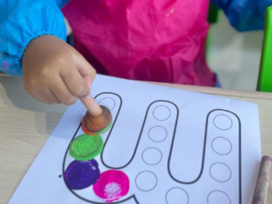 Little Owls Child Skills Training Institute