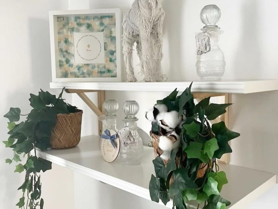 Eli Studio