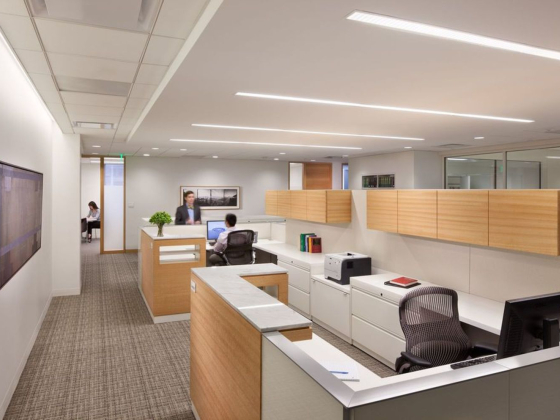 Luxitron Led Lighting